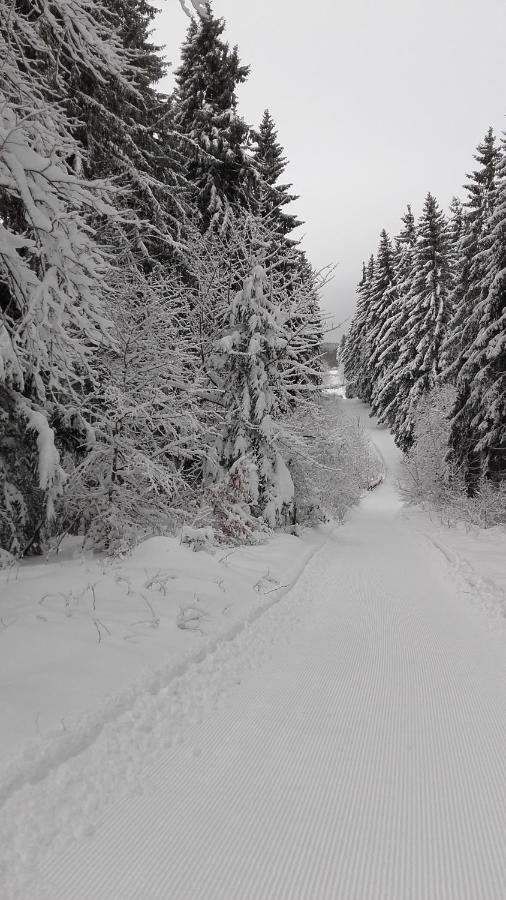 Haus Tippe Apartman Braunlage Kültér fotó